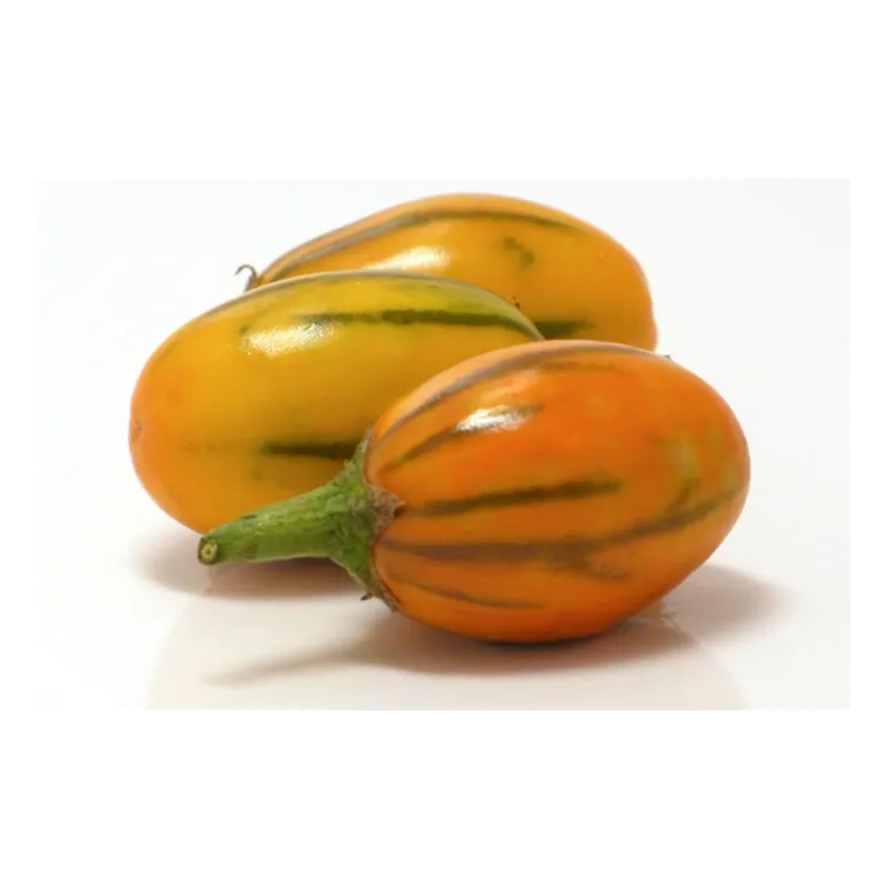 STRIPED TOGA Eggplant Seeds Heirloom Aubergine | Seeds Shop Store