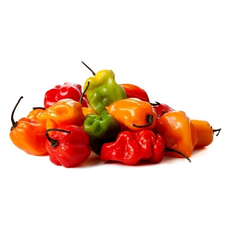 Habanero rote, gelbe, orange Samen | Seeds Shop Store