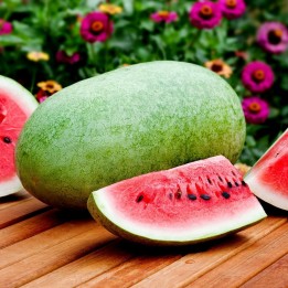 Charleston Gray Watermelon Seed - 1.755
