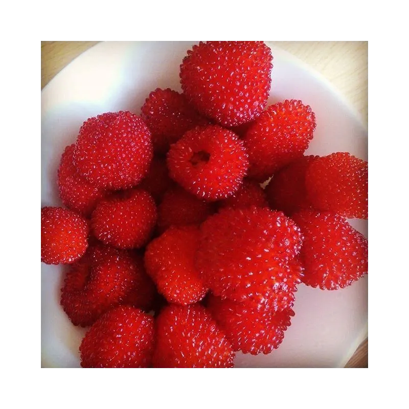 Erdbeer-Himbeere, Japanische Himbeere Samen | Seeds Shop Store