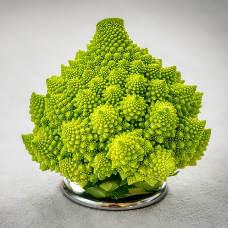 2000 Frön Romanesco Blomkål | Seeds Shop Store