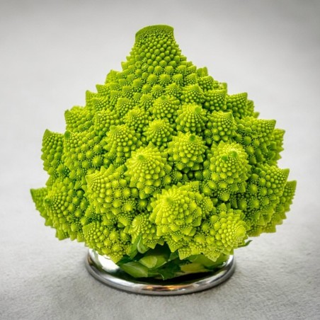 2000 Frön Romanesco Blomkål | Seeds Shop Store