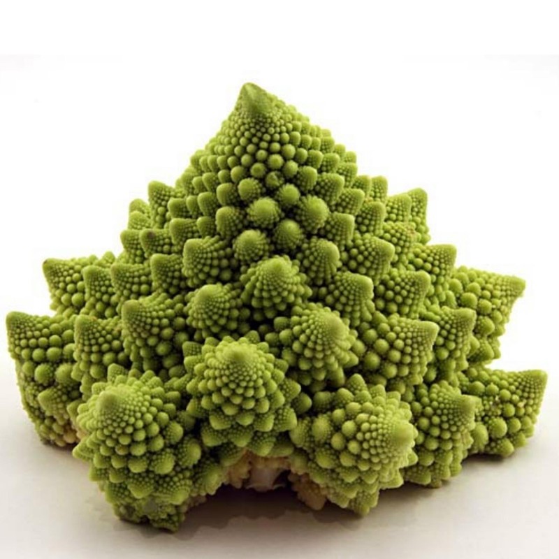 2000 Frön Romanesco Blomkål | Seeds Shop Store