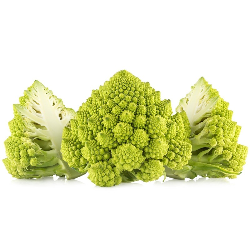 2000 Frön Romanesco Blomkål | Seeds Shop Store