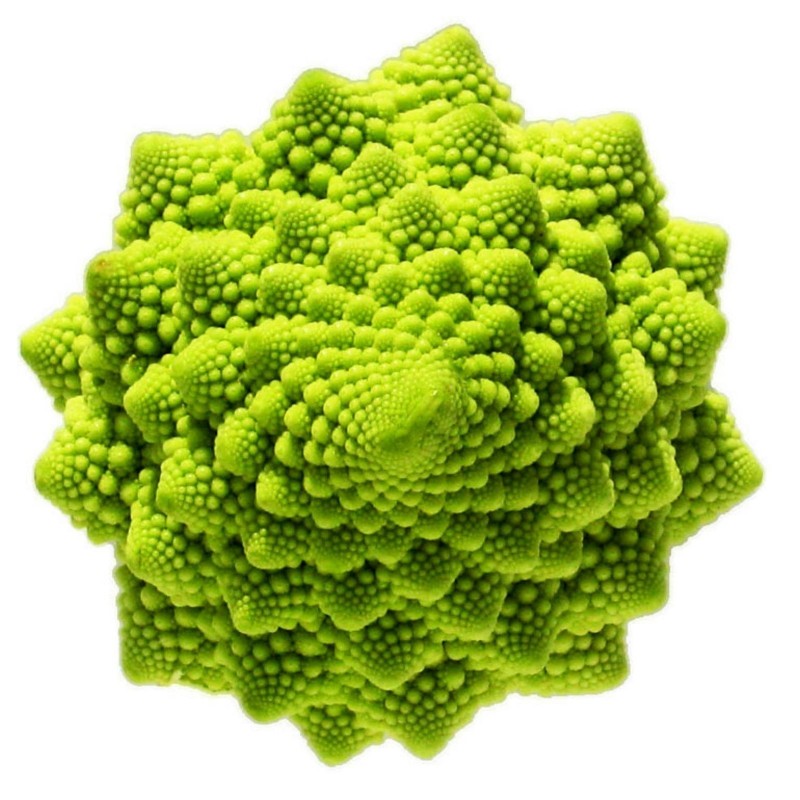 2000 Frön Romanesco Blomkål | Seeds Shop Store