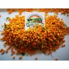 Dried Charapita Fruits with Seeds | Seeds Shop Store