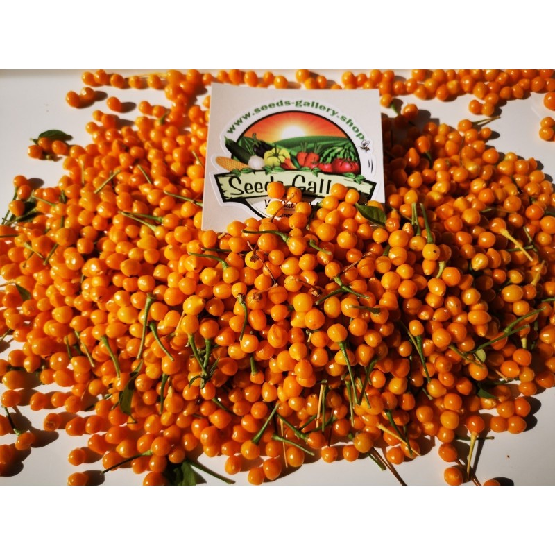 Dried Charapita Fruits with Seeds | Seeds Shop Store