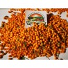 Dried Charapita Fruits with Seeds | Seeds Shop Store