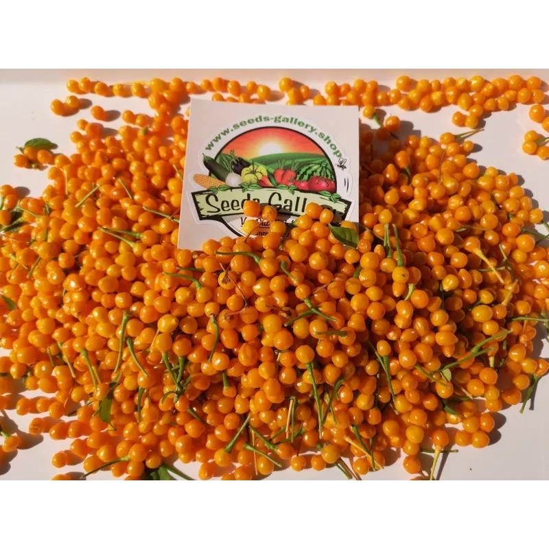 5 Fresh Charapita Fruits with Seeds - Limited time offer | Seeds Shop Store