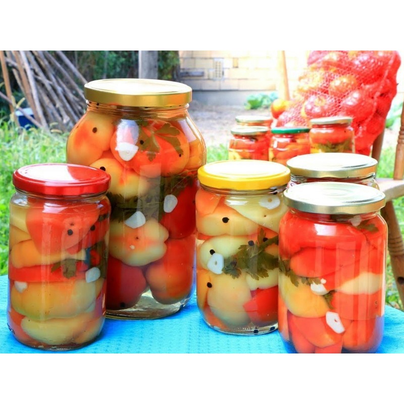 Sweet pepper seeds Novosadjanka | Seeds Shop Store