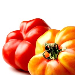 Spanische Tomatensamen Montserrat - 258.037065