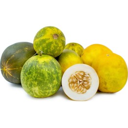 DOSAKAI ινδική αγγουριού Σπόροι - 1.755