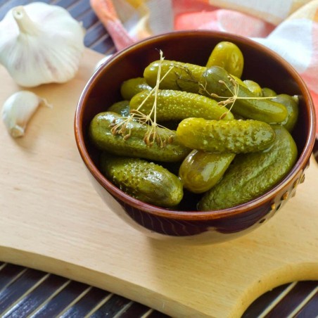 Gurkensamen Pariser Cornichon 400 samen | Seeds Shop Store