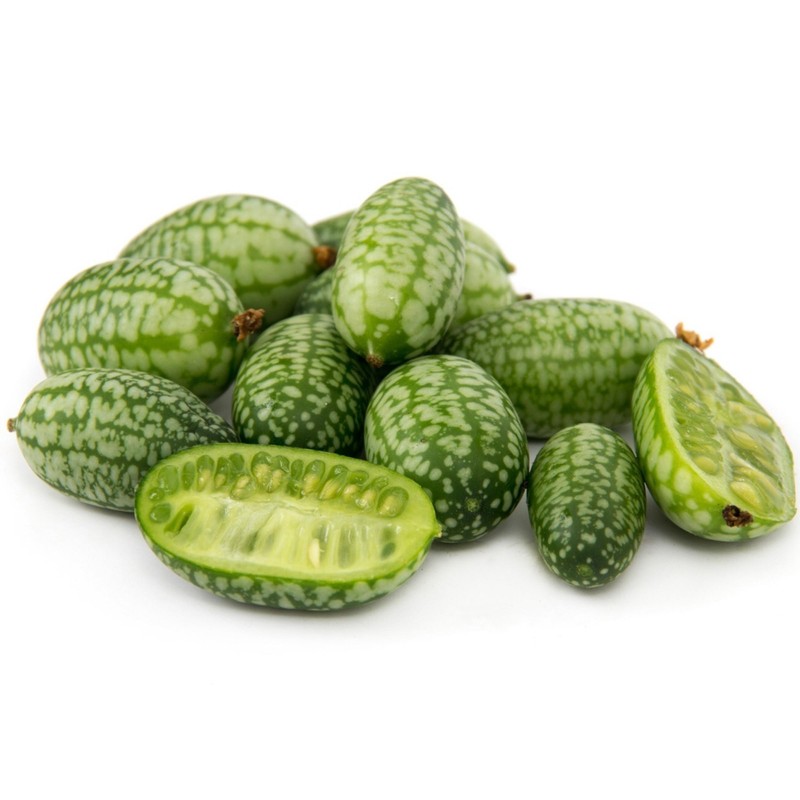 Cucamelon Seeds - Mexican Sour Gherkin Cucumber | Seeds Shop Store