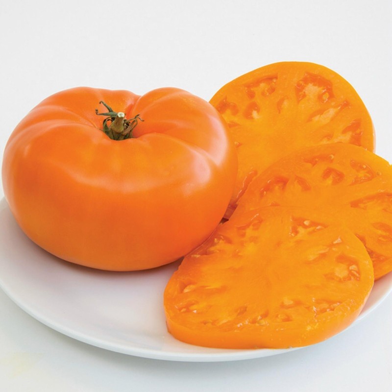 Orange Beefsteak Heirloom Tomato Organic Seeds | Seeds Shop Store