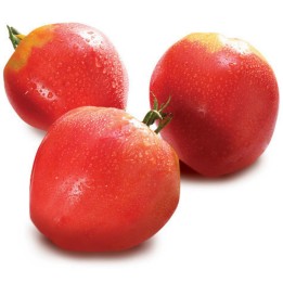 Semillas de Tomate VAL Variedades de Eslovenia - 193.527799