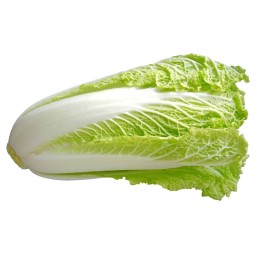 Sementes De Couve Chinesa (Brassica pekinensis) - 246.308108