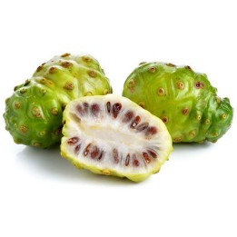 Noni Seeds (Morinda citrifolia, Rubiaceae) - 410.513513