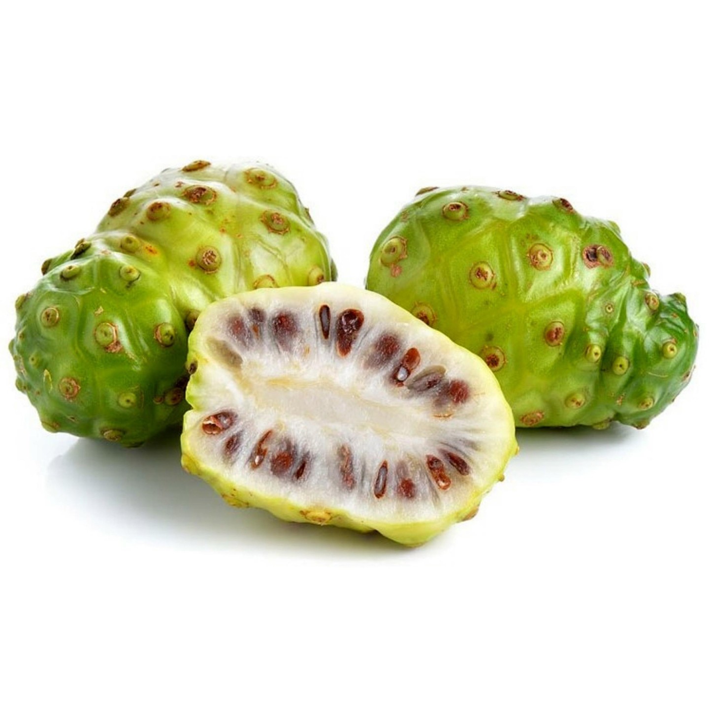 nonnonです❣️0319 Semințe de Noni (Morinda citrifolia, Rubiaceae) | Quality organic