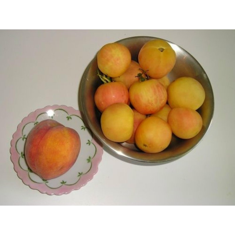 Garden Peach Tomato Seeds | Seeds Shop Store