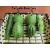Cucumber Melon Seeds - Carosello Barattiere | Seeds Shop Store