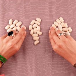 Tetovac big white Bean Seeds - 2.25