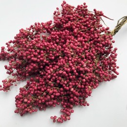 Sementes de aroeira-salso, pimenteira-bastarda (Schinus molle) - 2.205