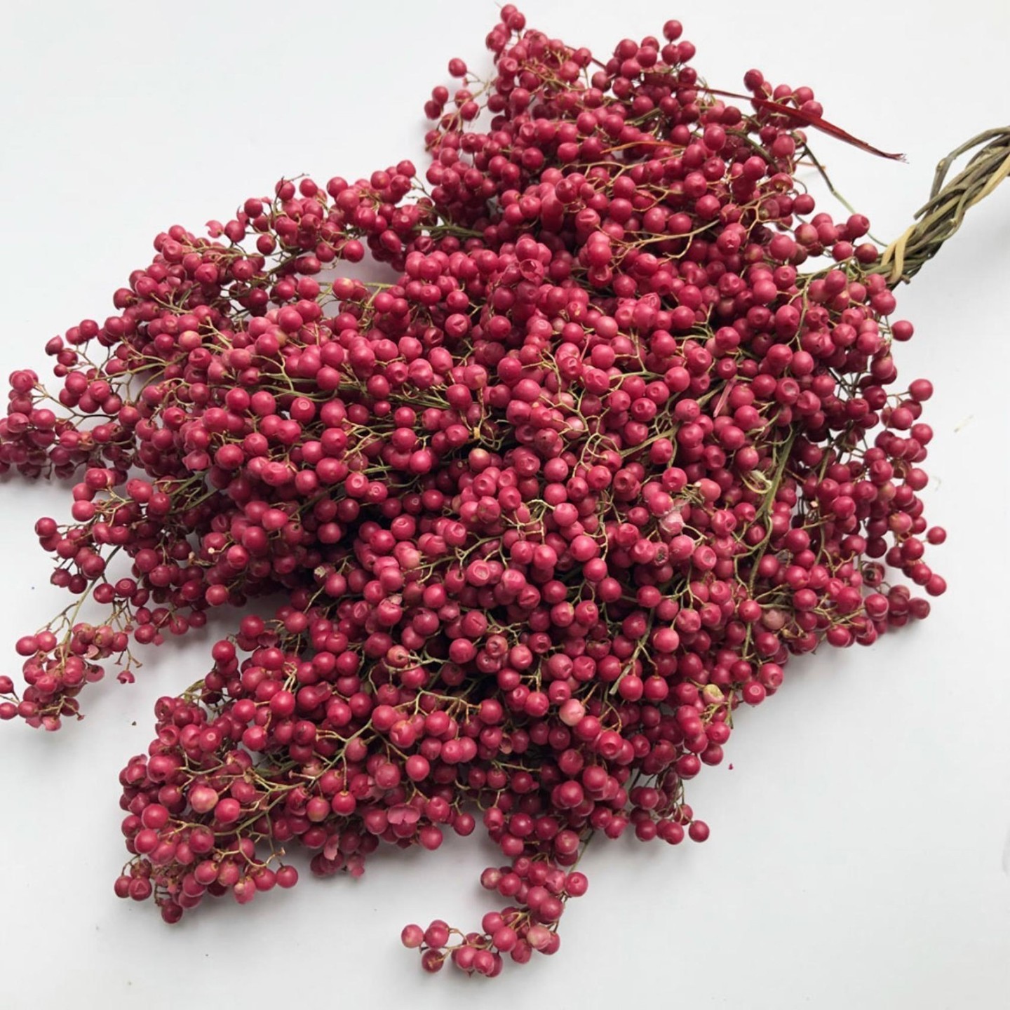 Large Pepper Tree Peruvian Pepper, Pepper Tree Seeds (Schinus molle) | Heirloom, organic ...
