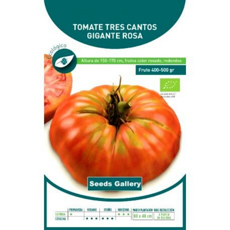 Tres Cantos Tomato Seeds | Seeds Shop Store