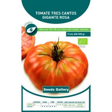 Tres Cantos Tomato Seeds | Seeds Shop Store