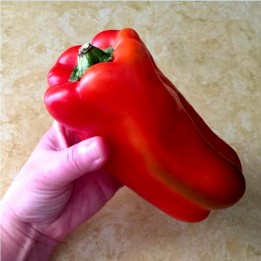 Largo de Reus sweet bell pepper seeds - 2.45