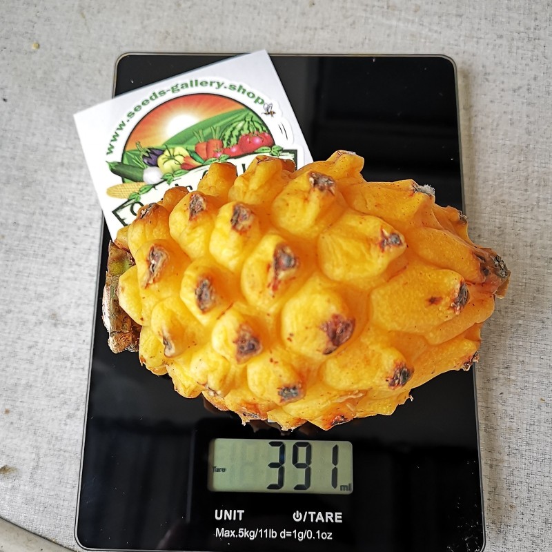 Yellow Pitaya, Yellow Dragon Fruit Seeds | Seeds Shop Store