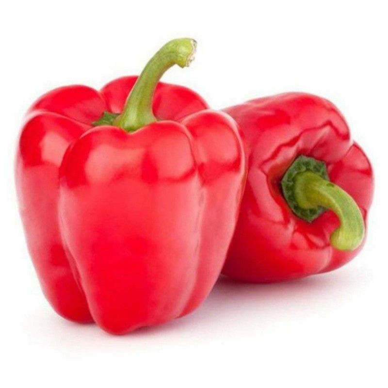 Maor Paprikasamen | Seeds Shop Store