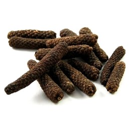 Sementes de PIMENTA LONGA, pimento longa javanesa - 299.088416