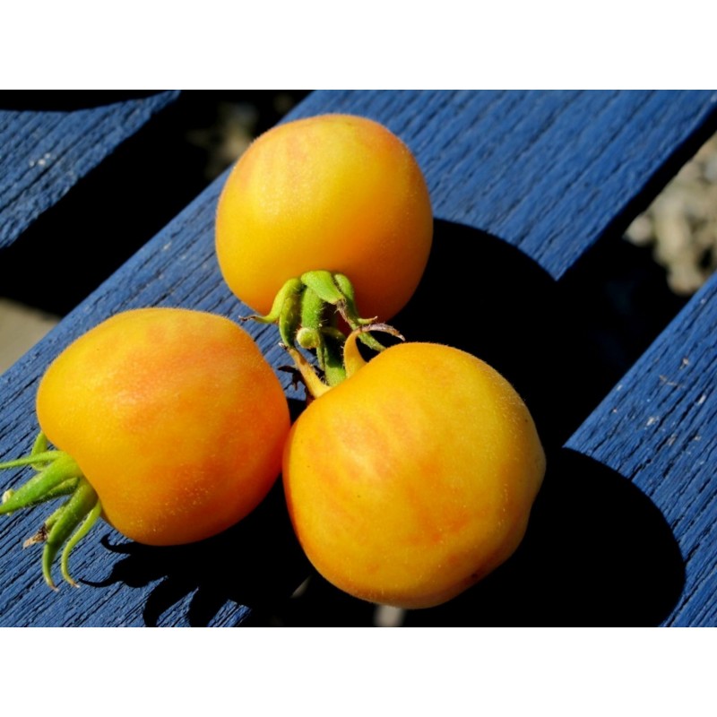 Garden Peach Tomato Seeds | Seeds Shop Store