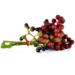 Sichuan Pepper, Szechuan Pepper Seeds (Zanthoxylum simulans) - 2.475