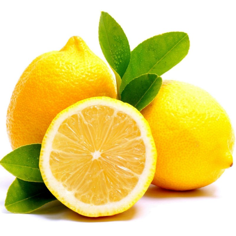 Limun Seme (Citrus x limon) | Seeds Shop Store