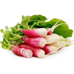 Cylindrical Radish Seeds Flamboyant 3 - 1.395