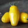 Graines de tomate Cuisses de banane (Banana Legs) | Seeds Shop Store