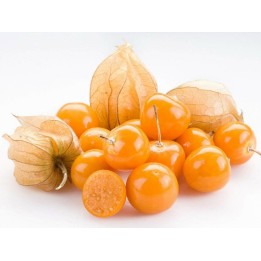 Sementes Lanterninha (Physalis peruviana) - 205.256756