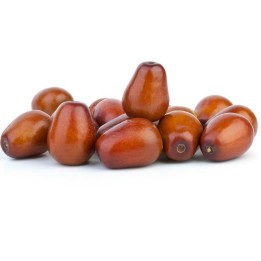 Sementes de Jujuba (Zizyphus jujuba) - 410.513513