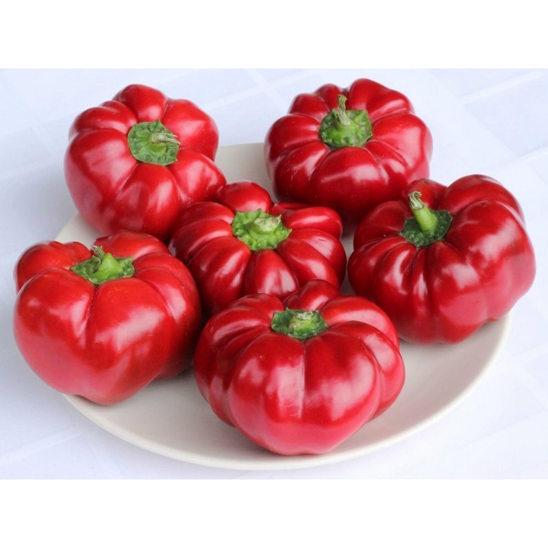 GREYGO magyar paprika magok | Seeds Shop Store