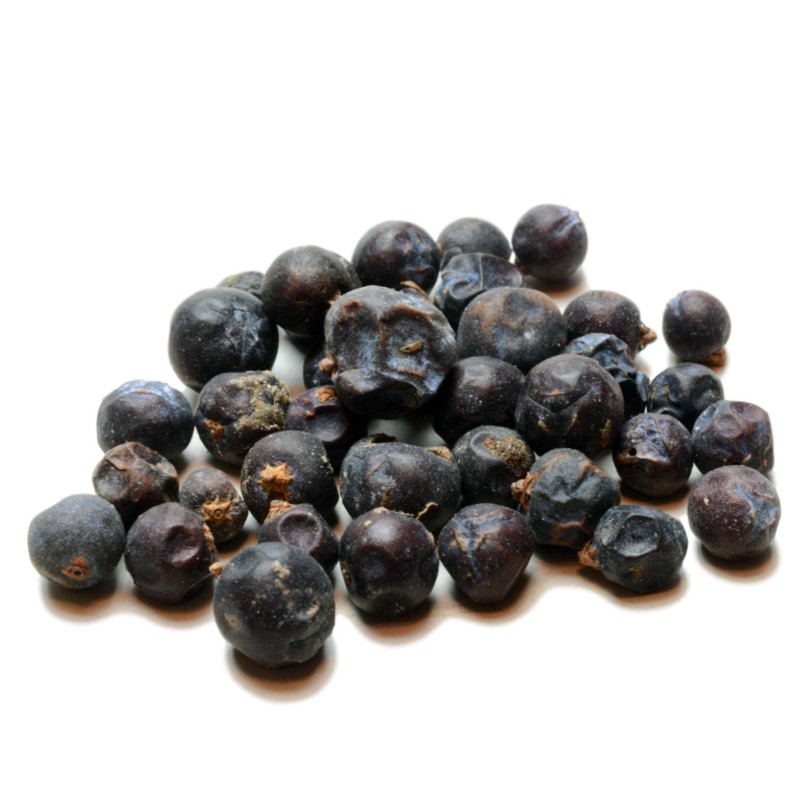 Semi di BACCA DI GINEPRO (Juniperus communis) | Seeds Shop Store