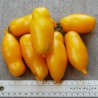 Graines de tomate Cuisses de banane (Banana Legs) | Seeds Shop Store
