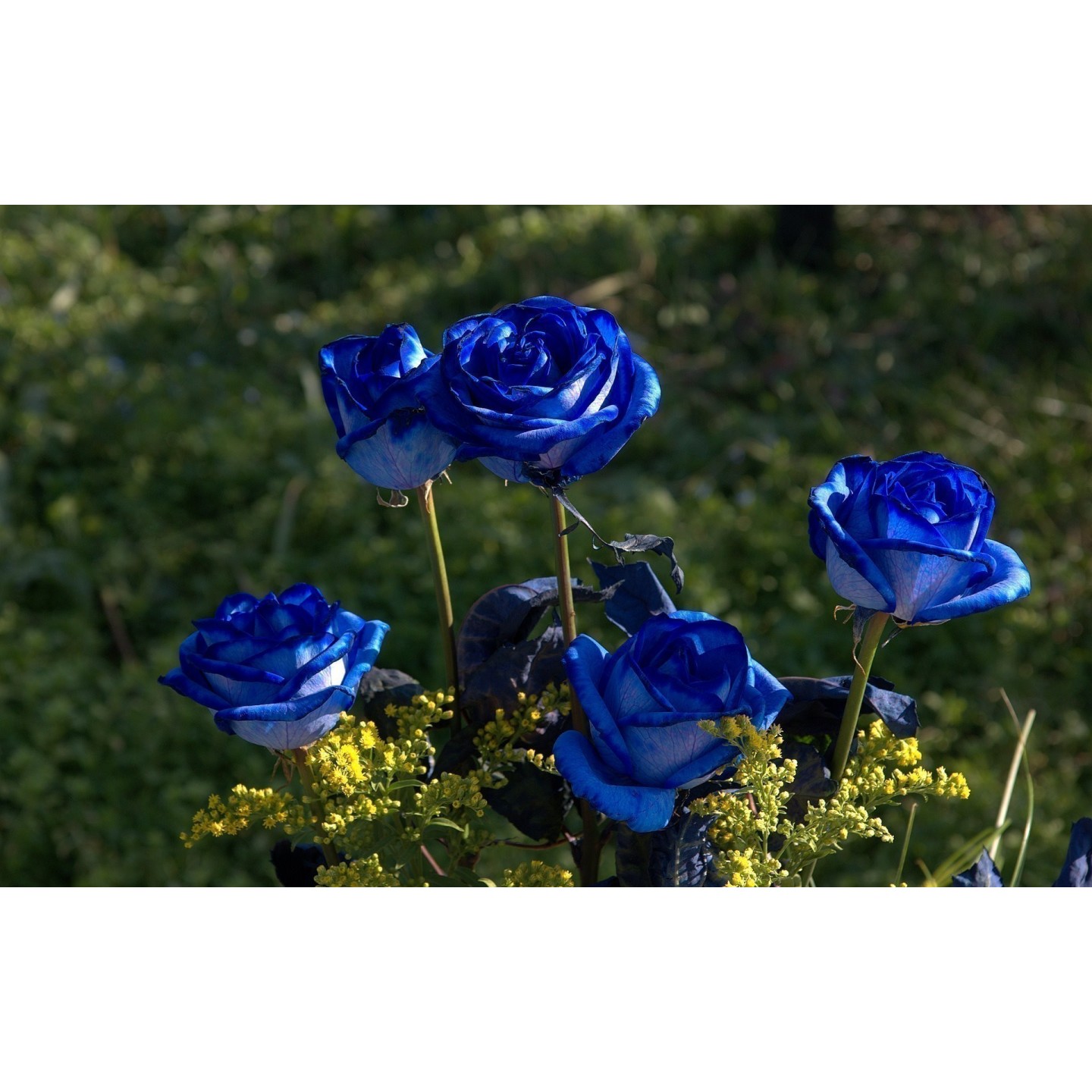pots for outdoor plants Blue Double Rim Ceramic Planter main image 1