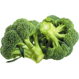 Broccoli Ramoso Calabrese Seeds - 1.755