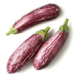 Greek Eggplant Seeds TSAKONIKI - 1.575