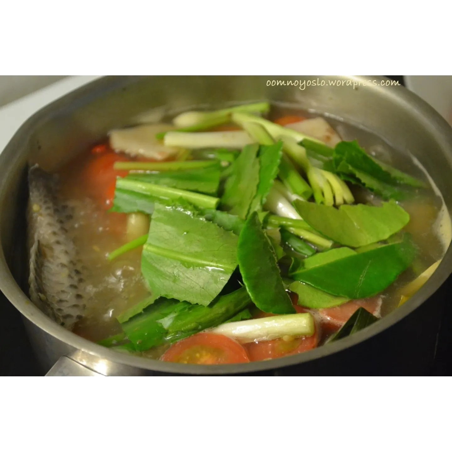 Semillas de cotidiano cilantro cimarron (Eryngium foetidum) - 1.755