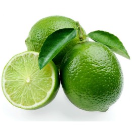 Semena limetky tahitské (Citrus latifolia) - 228.714671