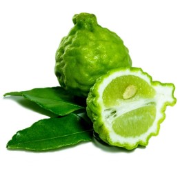 Semi di lime Kaffir (Citrus hystrix) - 3.15